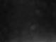 Costa Fortuna 01.05.2025 03:28