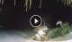 Bwejuu (Sansibar) 01.05.2025 03:21