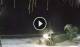 Bwejuu (Sansibar) 09.06.2025 03:20