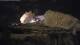 Alicante 30.04.2025 03:28