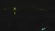Nonnenhorn 30.06.2025 03:28