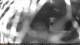 Agno (Luganersee) 12.07.2025 03:28