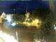 Holzkirchen 09.06.2025 03:48