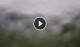 Syðrugøta 24.06.2025 03:22