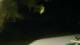 Le Morne 30.04.2025 03:22