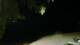 Le Morne 03.06.2025 03:22
