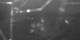Berlin 01.07.2025 03:29
