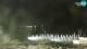 San Teodoro (Sardegna) 17.05.2025 03:30