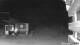 Sinaia 15.06.2025 03:50