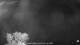 Carrum 01.05.2025 03:25