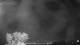 Carrum 09.05.2025 03:25
