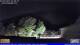 Chieti 01.05.2025 03:31