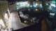 Piran 30.04.2025 03:31