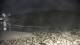 Malpica 14.07.2025 03:31