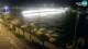 Zadar 14.07.2025 03:31