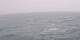 AIDAbella 24.06.2025 03:49