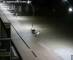De Panne 01.05.2025 03:32
