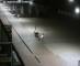 De Panne 09.06.2025 03:32