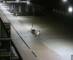 De Panne 09.06.2025 03:32