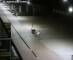 De Panne 20.05.2025 03:32