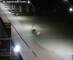 De Panne 30.04.2025 03:32