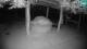 Lubiana 30.04.2025 03:32