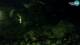 Brijuni 09.06.2025 03:32