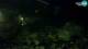 Brijuni 09.06.2025 03:32