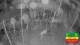 Sandy Ground 29.04.2025 03:29