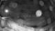 Plouescat 22.06.2025 03:23