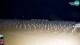 Bibione 17.07.2025 03:34