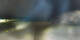 Graz 30.04.2025 03:34