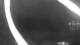 Vado Ligure 01.05.2025 03:34
