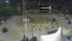 Nova Gorica 24.04.2025 03:34