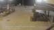 Torrevieja 01.05.2025 03:35