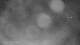 Puerto Rey 09.06.2025 03:35