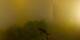 Bromont 20.06.2026 03:34