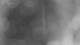 Henne 28.10.2026 03:34