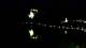 Bled 12.05.2025 03:49