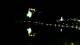 Bled 30.04.2025 03:49