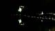 Bled 30.06.2025 03:49