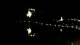 Bled 03.07.2025 03:49
