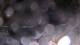 Germantown, Maryland 09.06.2025 03:46