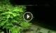 Soverato 09.06.2025 03:50