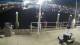 Placida, Florida 30.04.2025 03:50