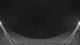 Griffen 15.07.2025 03:54