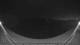 Griffen 23.06.2025 03:51