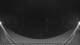 Griffen 09.05.2025 03:51
