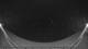 Griffen 11.05.2025 03:51