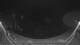 Griffen 08.07.2025 03:51